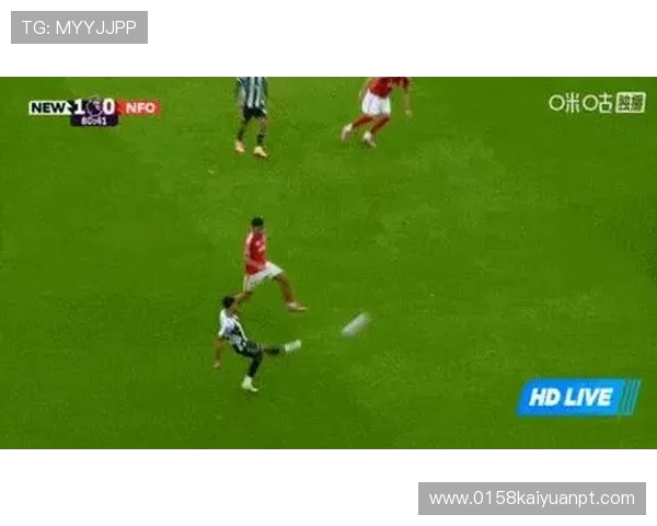 球探官网最新赛事数据全面解析助你掌握足球动态