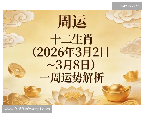 全面解析六合彩棋牌的规则与技巧帮助新手快速上手赢取更多奖金